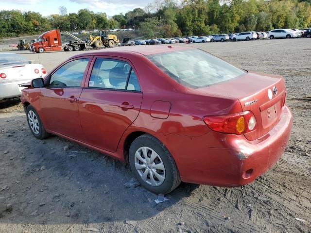 2010 Toyota Corolla Base