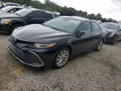 Salvage cars for sale at Riverview, FL auction: 2024 Toyota Camry LE