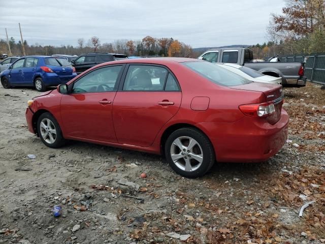 2011 Toyota Corolla Base