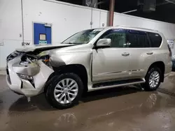 Salvage cars for sale at Blaine, MN auction: 2015 Lexus GX 460