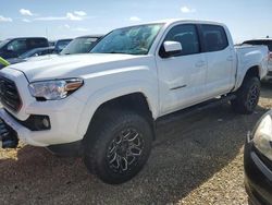 Toyota salvage cars for sale: 2019 Toyota Tacoma Double Cab