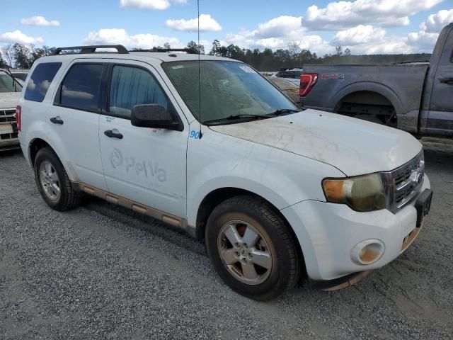 2010 Ford Escape XLT