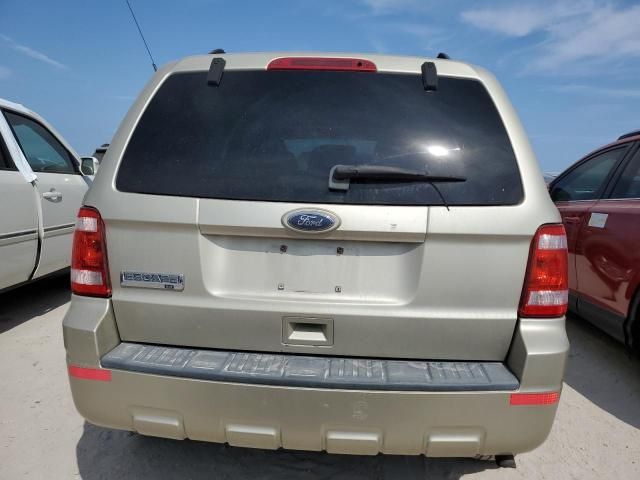 2010 Ford Escape XLT