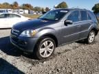 2010 Mercedes-Benz ML 350 4matic