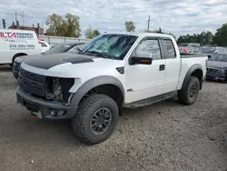 Salvage cars for sale at Lansing, MI auction: 2011 Ford F150 SVT Raptor