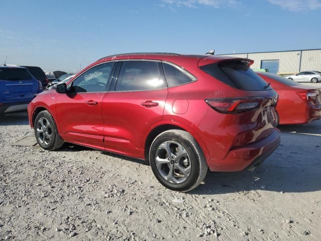 2024 Ford Escape ST Line