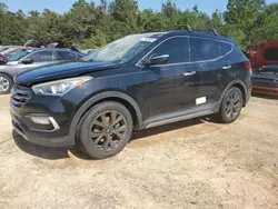 Salvage cars for sale from Copart Midway, FL: 2018 Hyundai Santa FE Sport