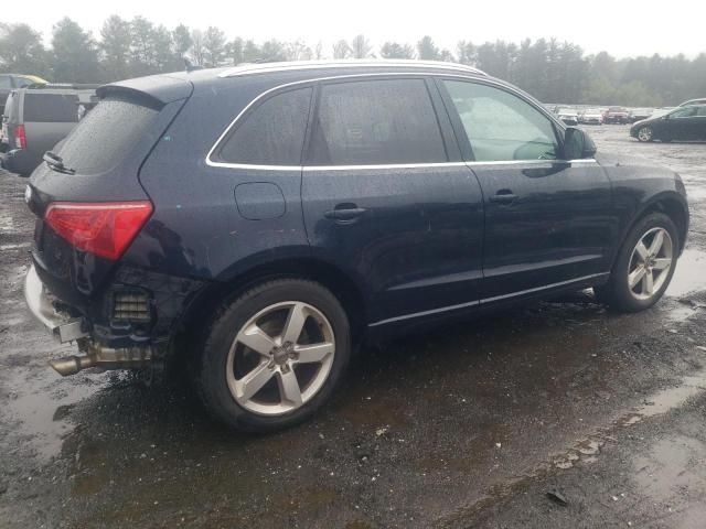 2010 Audi Q5 Premium Plus