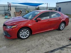 Salvage cars for sale at Arcadia, FL auction: 2023 Toyota Camry LE