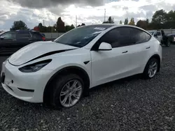 Tesla salvage cars for sale: 2024 Tesla Model Y