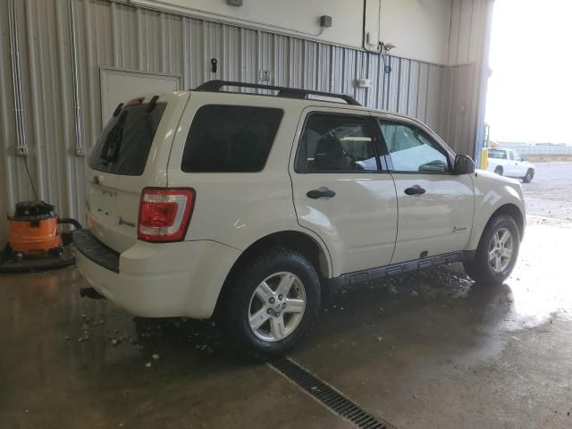 2011 Ford Escape Hybrid