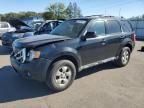 2010 Ford Escape Limited