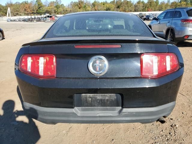 2010 Ford Mustang