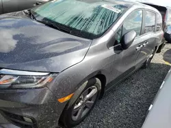 Salvage cars for sale at Riverview, FL auction: 2019 Honda Odyssey EXL