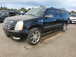 Cadillac Escalade esv Luxury salvage cars for sale: 2009 Cadillac Escalade ESV Luxury