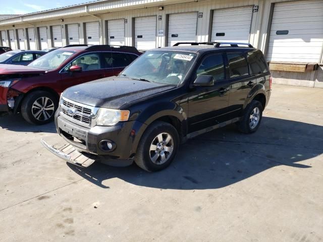 2011 Ford Escape Limited