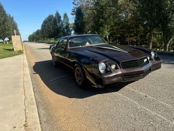 Salvage cars for sale at Madisonville, TN auction: 1980 Chevrolet Camaro Z28