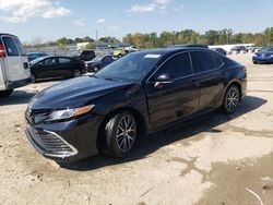 Salvage cars for sale at Louisville, KY auction: 2024 Toyota Camry XLE