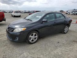 Toyota salvage cars for sale: 2013 Toyota Corolla Base