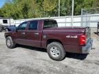 2005 Dodge Dakota Quad SLT