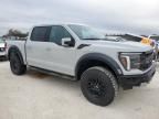 2024 Ford F150 Raptor