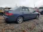 2004 Honda Accord EX