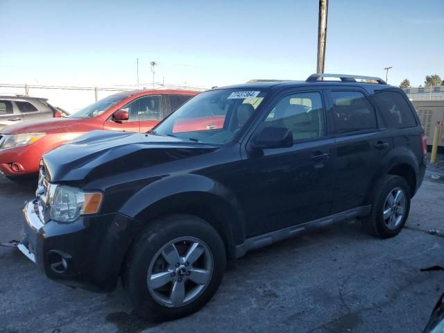 2009 Ford Escape Limited