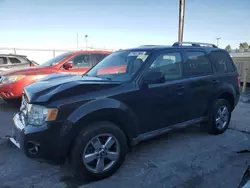 Salvage cars for sale at Dyer, IN auction: 2009 Ford Escape Limited