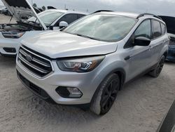 Salvage cars for sale at Arcadia, FL auction: 2018 Ford Escape SE