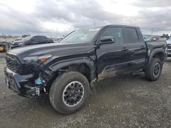 Salvage cars for sale at Eugene, OR auction: 2024 Toyota Tacoma Double Cab