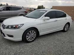 Salvage cars for sale at Mentone, CA auction: 2013 Honda Accord EXL