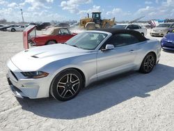 Flood-damaged cars for sale at auction: 2019 Ford Mustang