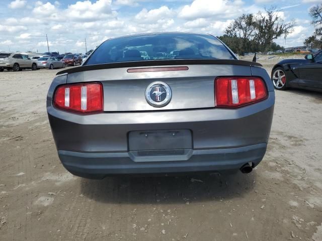 2010 Ford Mustang