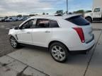 2010 Cadillac SRX Premium Collection