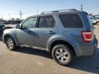 2010 Ford Escape Limited