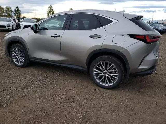 2022 Lexus NX 350H