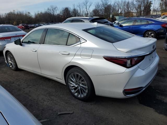 2021 Lexus ES 300H Luxury