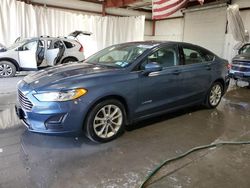 Salvage cars for sale at Albany, NY auction: 2019 Ford Fusion SE