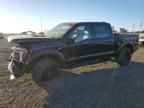 2024 Ford F150 Raptor