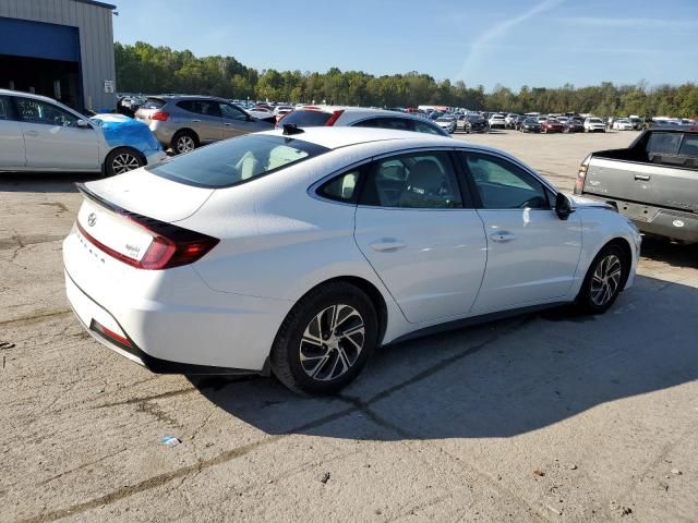 2020 Hyundai Sonata Hybrid