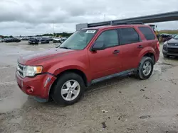 Ford salvage cars for sale: 2012 Ford Escape XLT