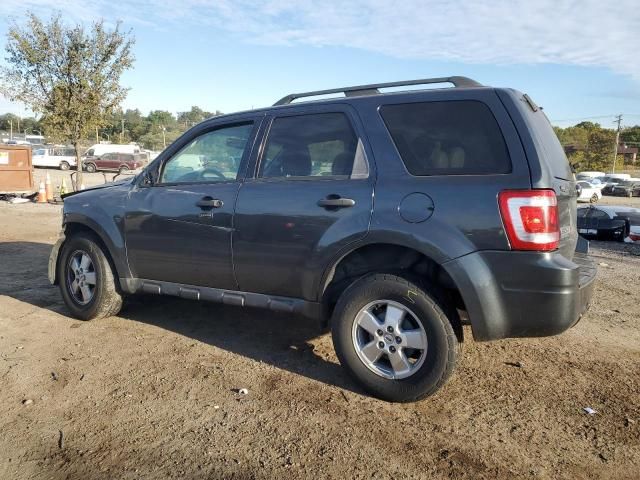 2009 Ford Escape XLT