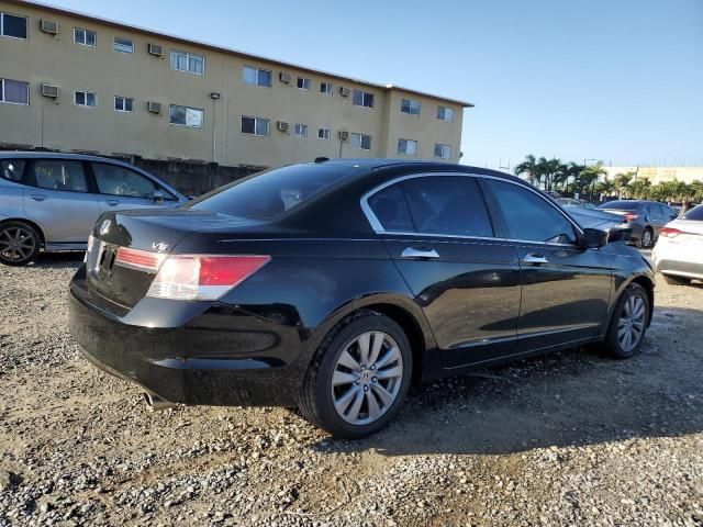 2011 Honda Accord EXL