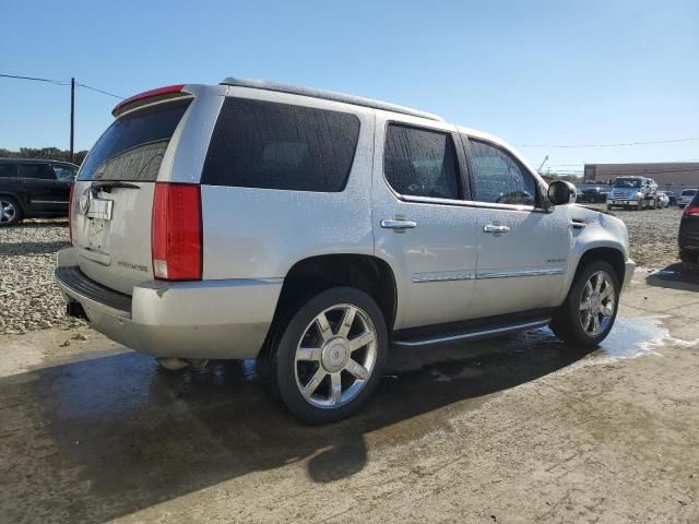 2010 Cadillac Escalade Luxury