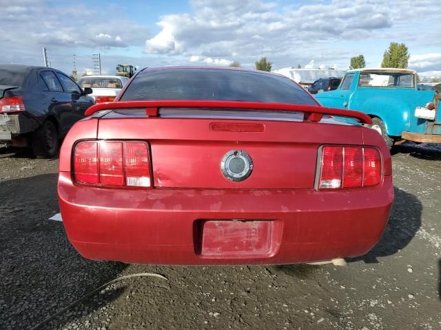 2005 Ford Mustang