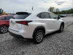 2020 Lexus NX 300