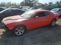 Salvage cars for sale at Baltimore, MD auction: 2015 Dodge Challenger SXT