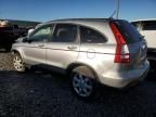 2007 Honda CR-V EXL