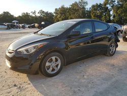 Salvage cars for sale at Ocala, FL auction: 2015 Hyundai Elantra SE