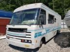 1992 Winnebago 1992 Chevrolet P30